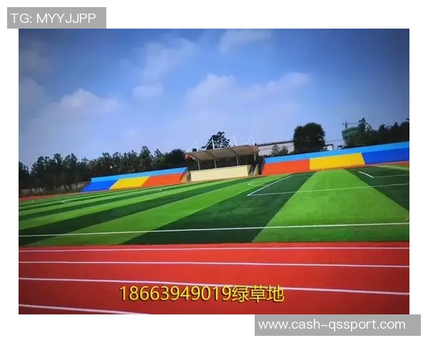 足球场草坪专用草的选择与养护技巧全解析助力提升比赛质量